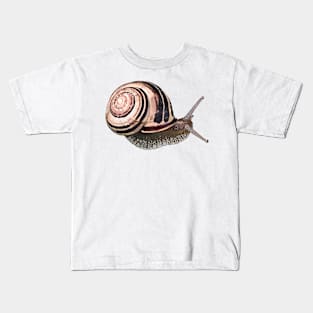 White-Lipped Snail / Cepaea hortensi Kids T-Shirt